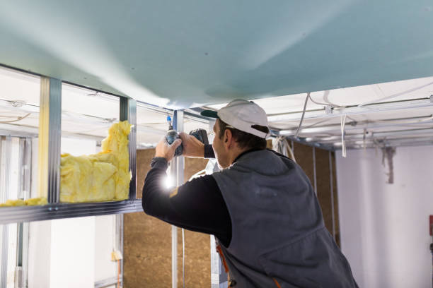Best Insulation Materials and Products in Camdenton, MO