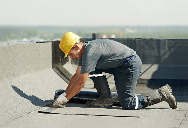 Best Insulation Installation Services in Camdenton, MO